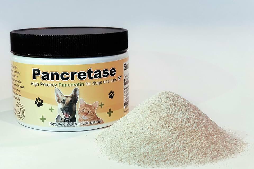 Digestive Enzymes for Pets with EPI