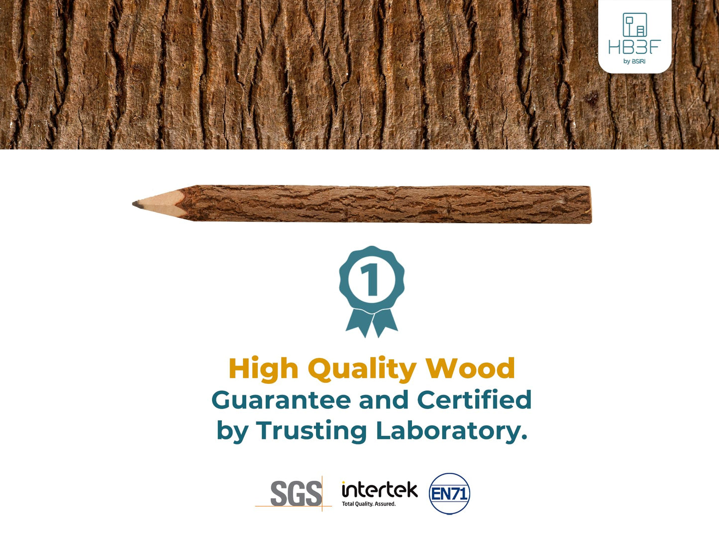 Rustic Wooden Pencils, 12 Pack, 5 Inch