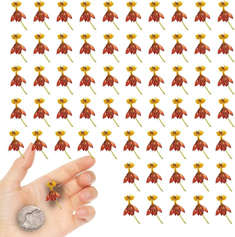 Dried Dancing Flowers with Stems for Crafts, 60 pcs