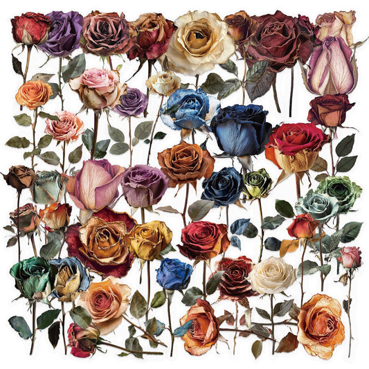 50 Dried Flower Stickers for Scrapbooks and More
