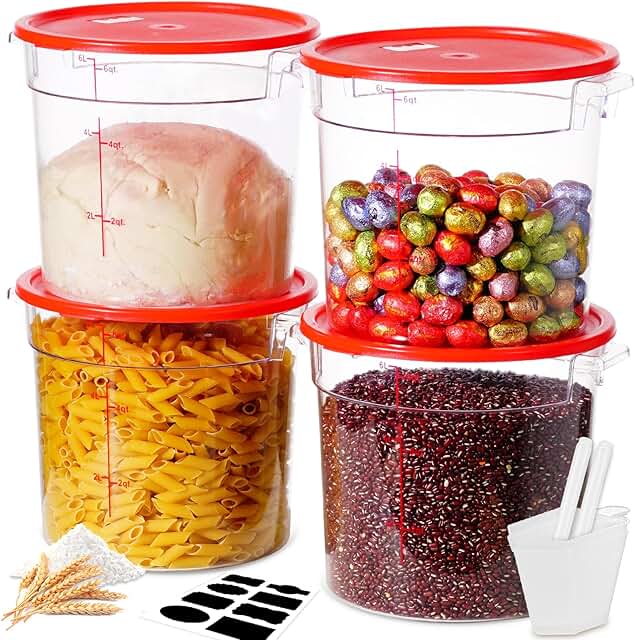 Set of 4 large food storage containers with lids