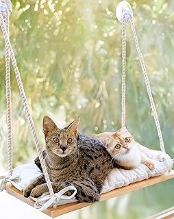 Large Cat Window Perch with Soft Cushion and Strong Suction