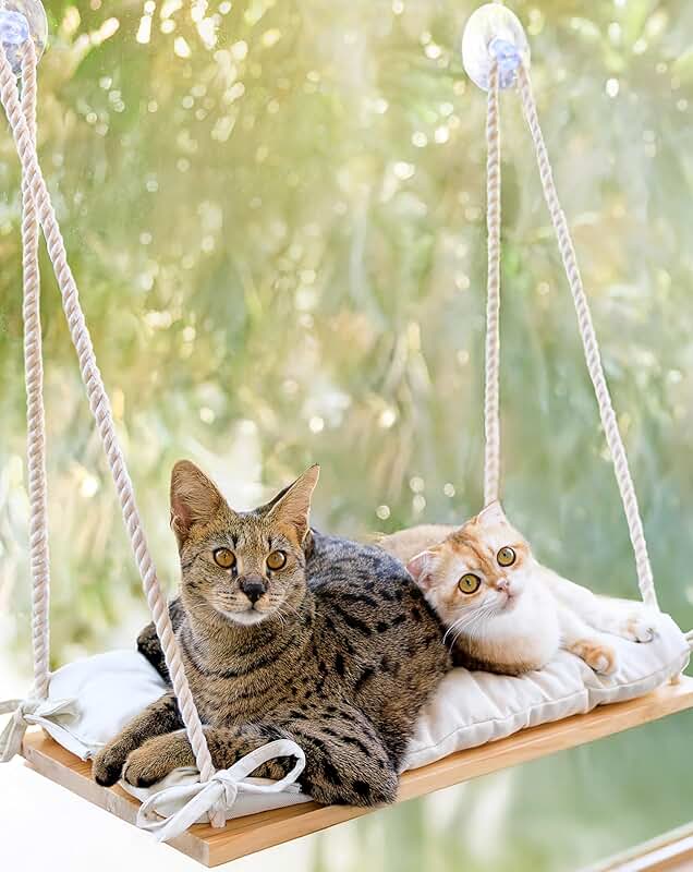 Large Cat Window Perch with Soft Cushion and Strong Suction