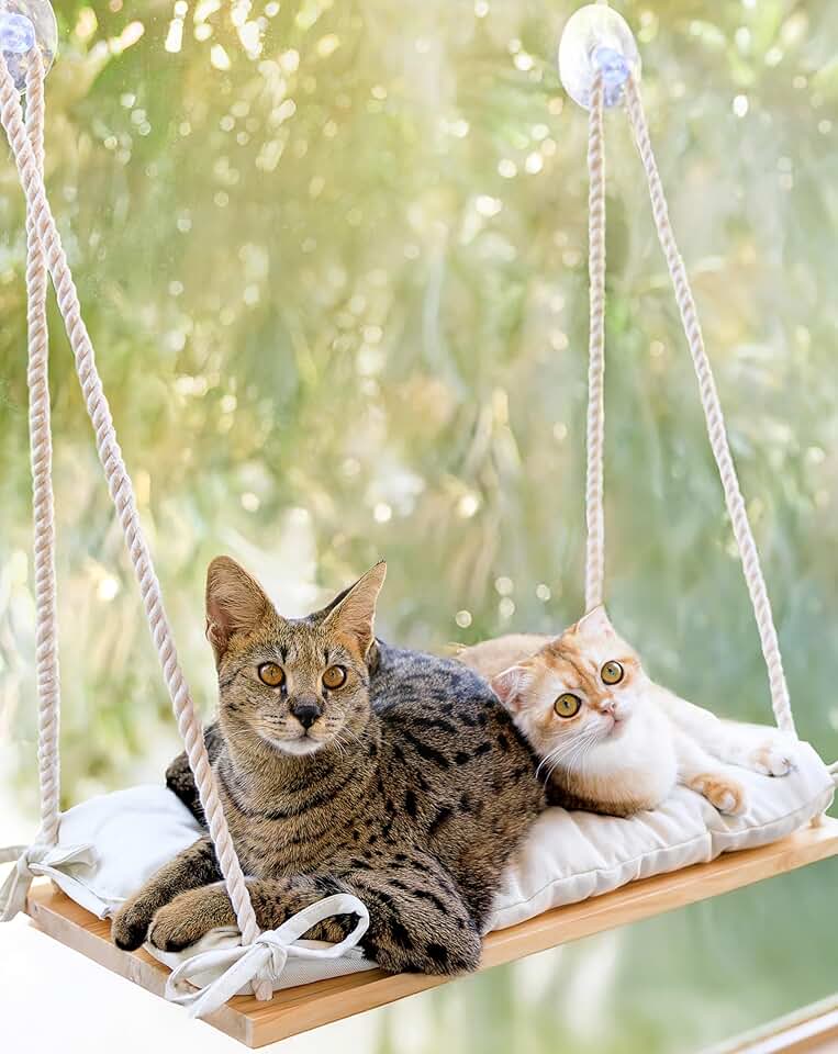 Large Cat Window Perch with Soft Cushion and Strong Suction
