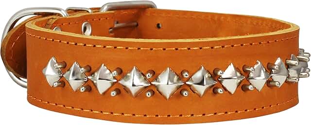 Thick Genuine Leather Spiked Dog Collar for Large Breeds