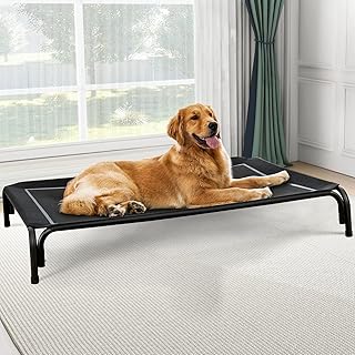 Raised outdoor dog bed for large dogs