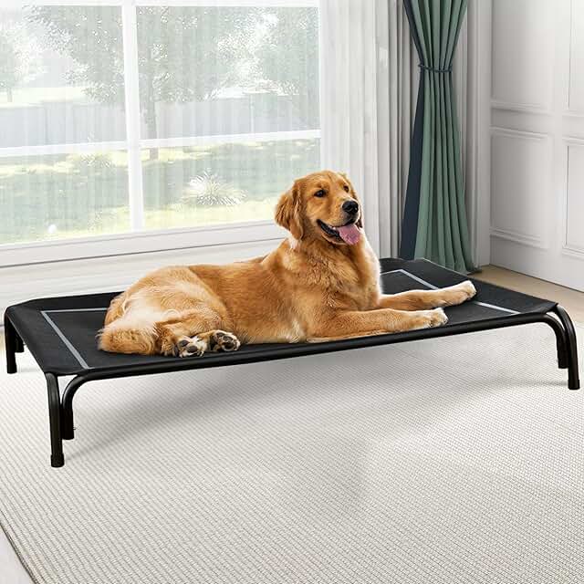 Raised outdoor dog bed for large dogs