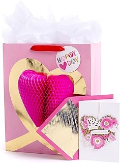 Large Valentine's Day Gift Bag with Tissue and Card