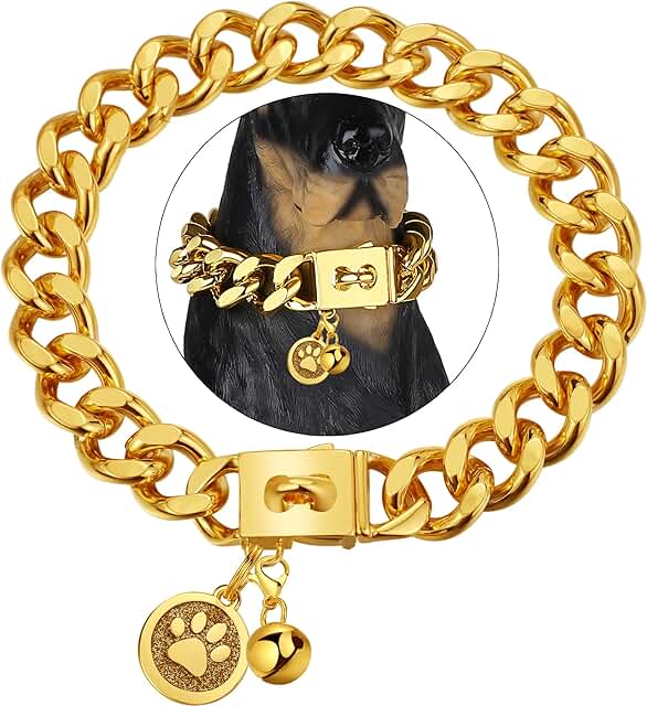 Gold Cuban Link Dog Collar with Tag and Bell