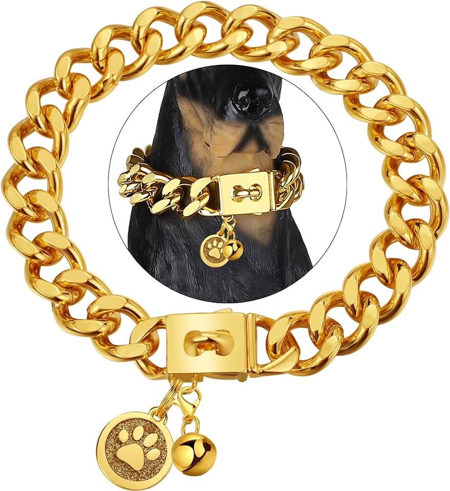 Gold Cuban Link Dog Collar with Tag and Bell