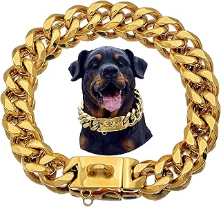 Gold Stainless Steel Dog Collar with Safety Lock