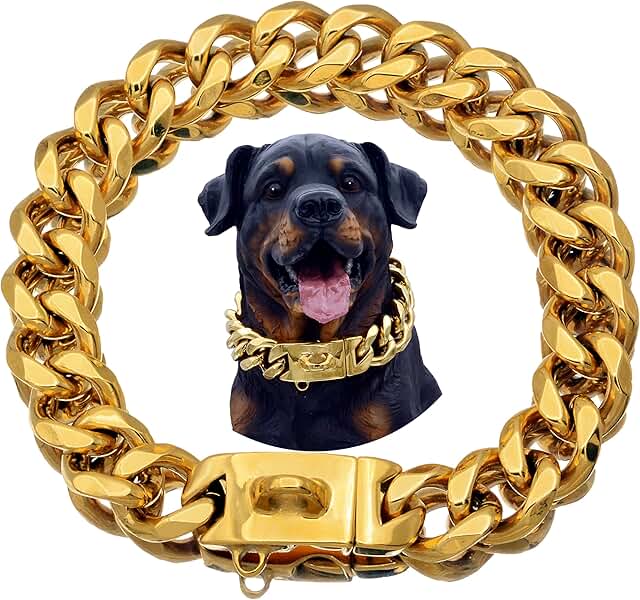 Gold Stainless Steel Dog Collar with Safety Lock