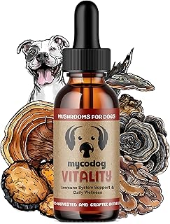 Turkey Tail Mushroom Supplement for Dogs' Wellness