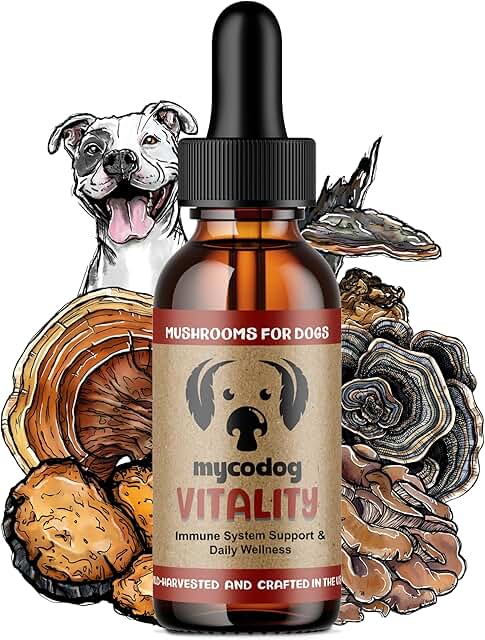 Turkey Tail Mushroom Supplement for Dogs' Wellness