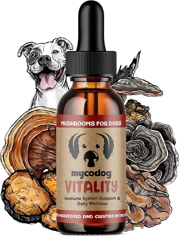 Turkey Tail Mushroom Supplement for Dogs' Wellness