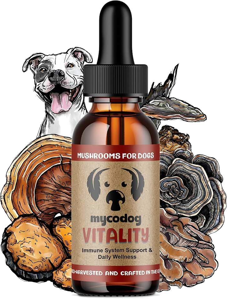Turkey Tail Mushroom Supplement for Dogs' Wellness