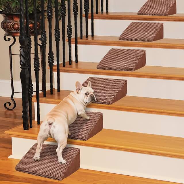 Foam Dog Ramp with Anti-Slip Pads, 6 Pack