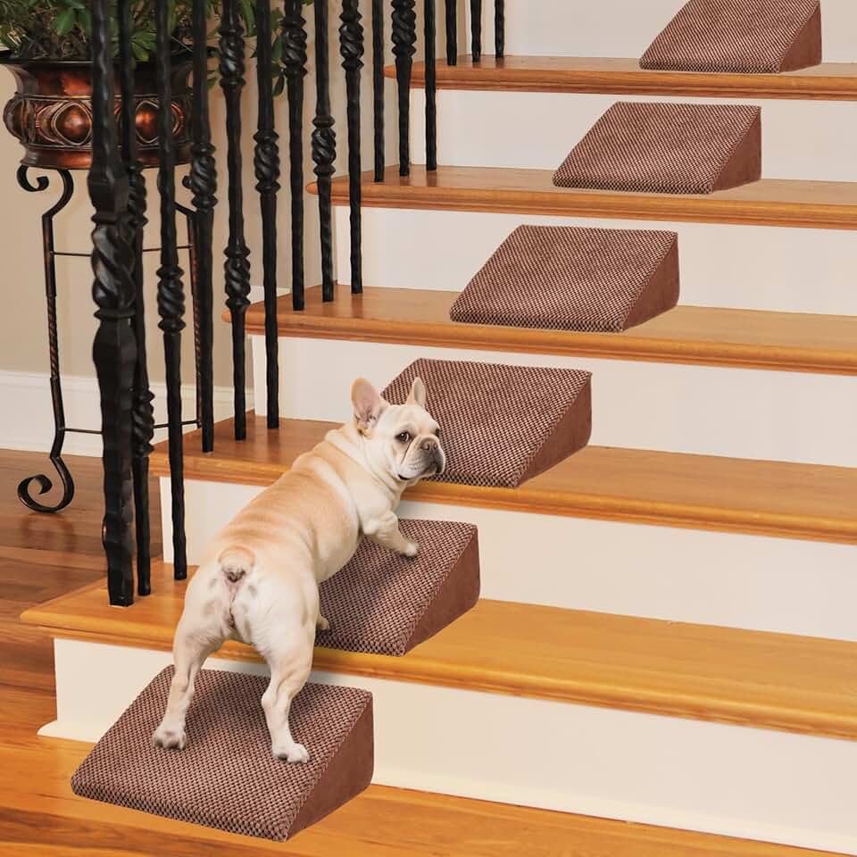 Foam Dog Ramp with Anti-Slip Pads, 6 Pack