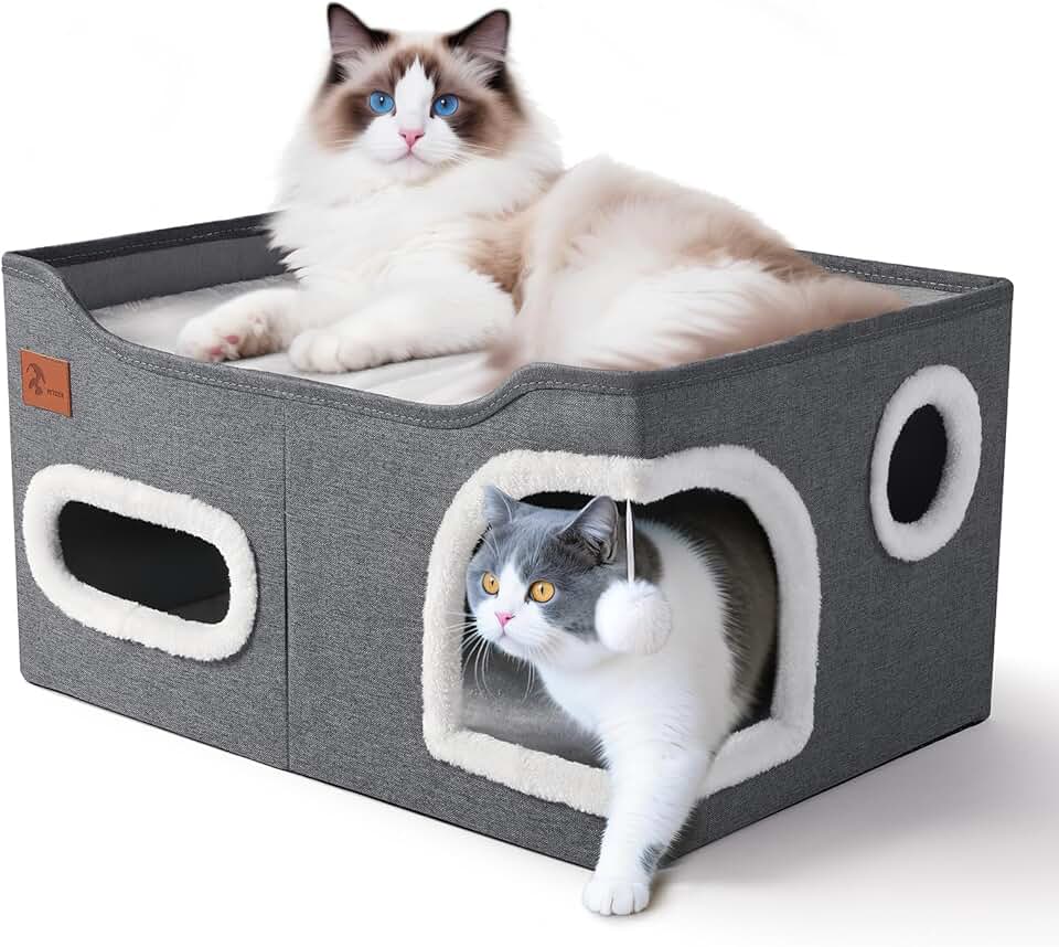 Cute Foldable Cat Bed with Cave and Scratch Pad