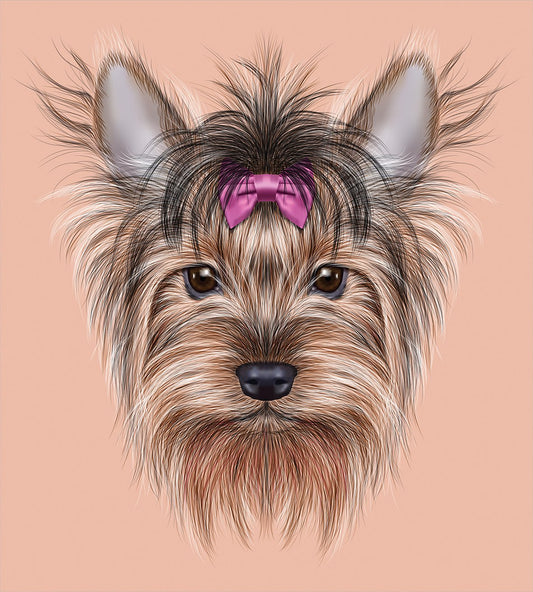 Yorkie Duvet Cover Set, Realistic Computer Dr n Image of Yorkshire Terrier Ribbon Animal, Decorative 3 Piece Bedding Set with 2 Pillow Shams, Queen Size, Salmon Pale Brown