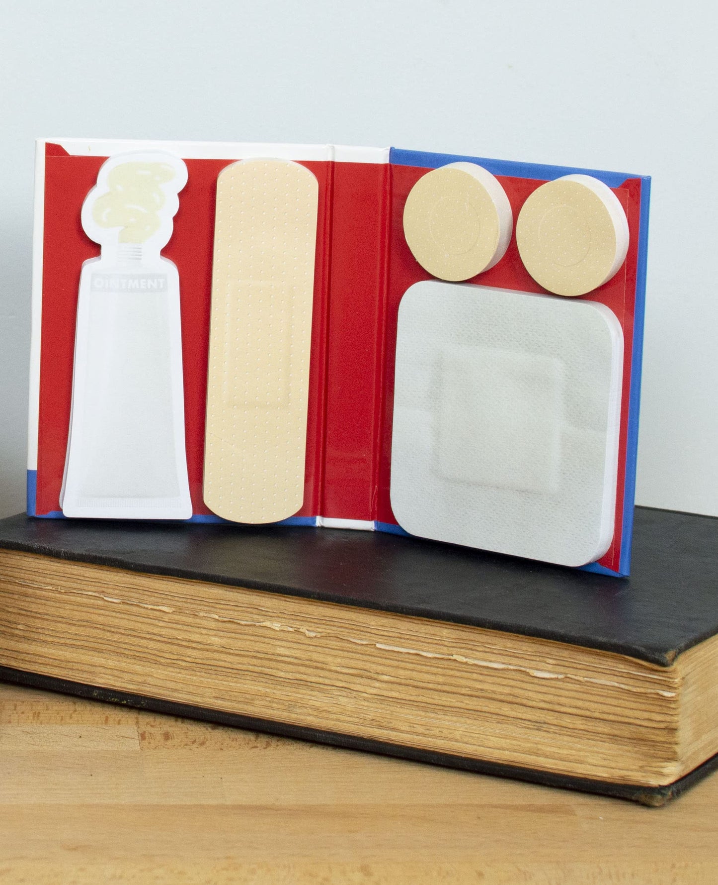 Medical Care Themed First Aid Notes Booklet