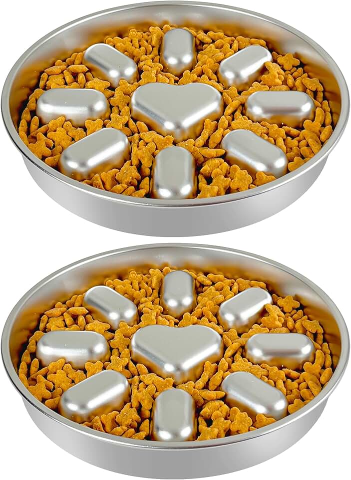 Slow Feeder Dog Bowls with Non-Slip Mat, 2 Pack
