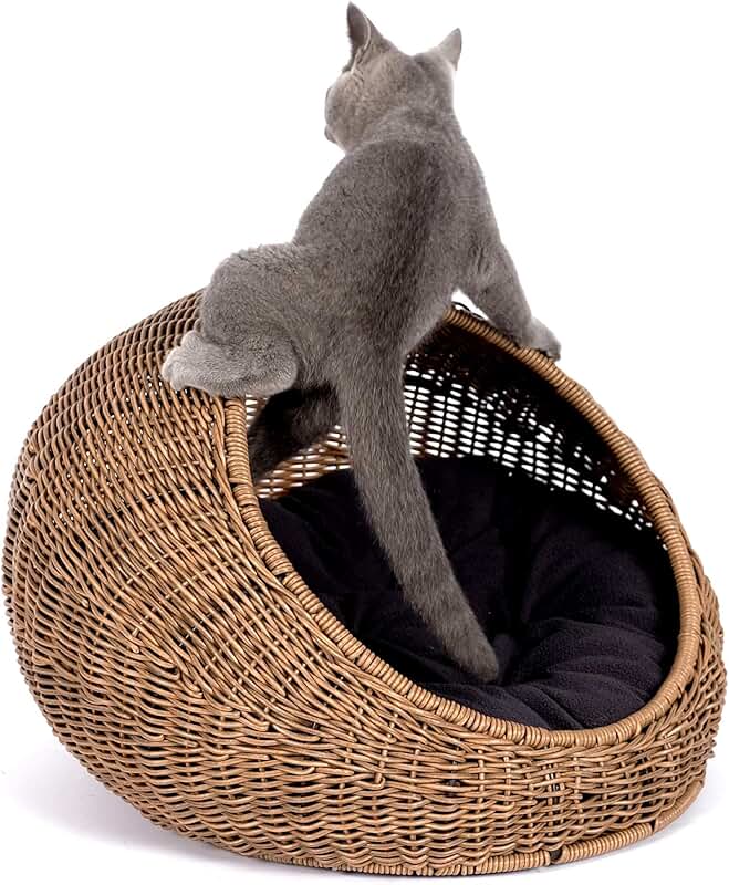 Wicker Cat Bed Dome for Indoor Cats