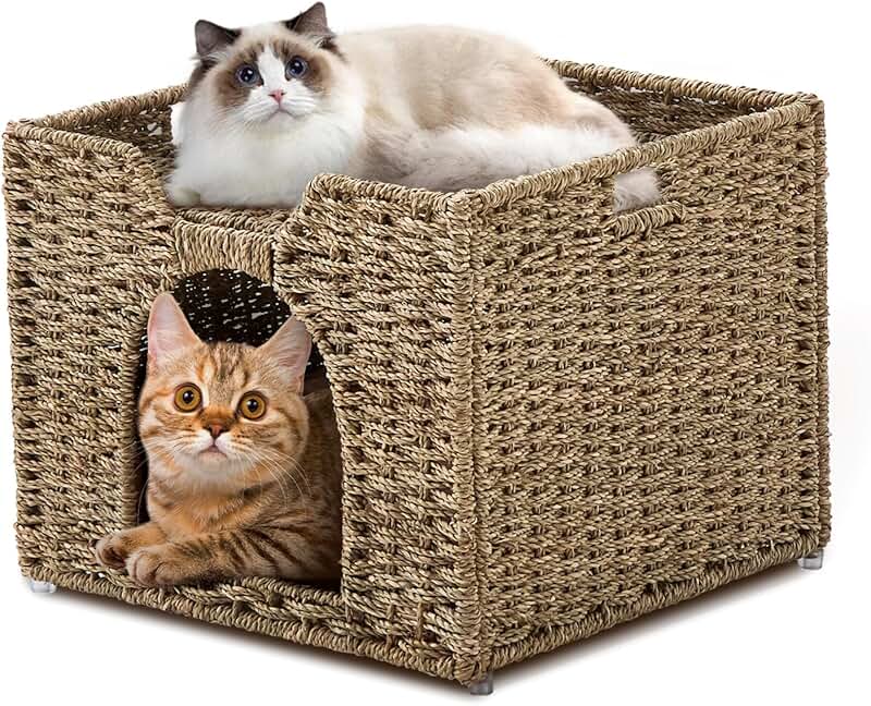 Indoor Cat House with Seagrass Cave and Mat