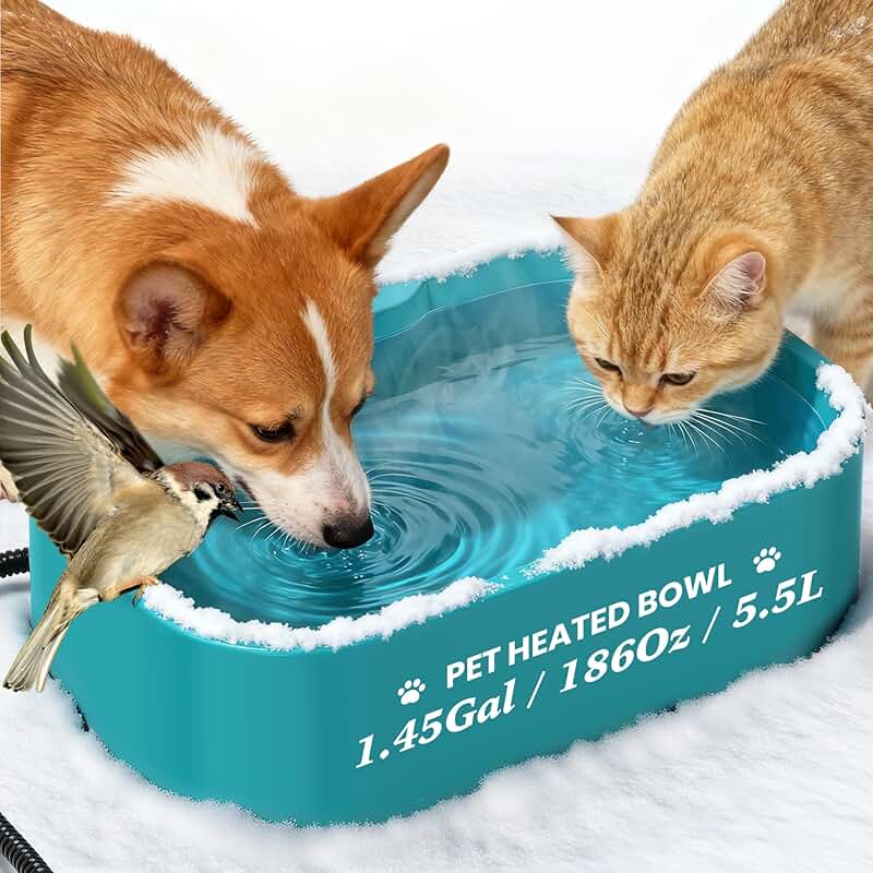 Large Heated Water Bowl for Pets Outside