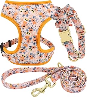 Cute girl dog collar and leash set with flower