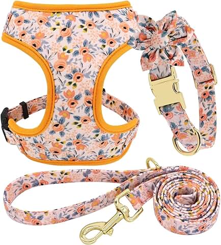 Cute girl dog collar and leash set with flower