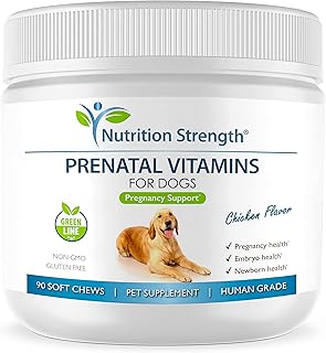 Prenatal Vitamins for Dogs Supporting Healthy Puppies
