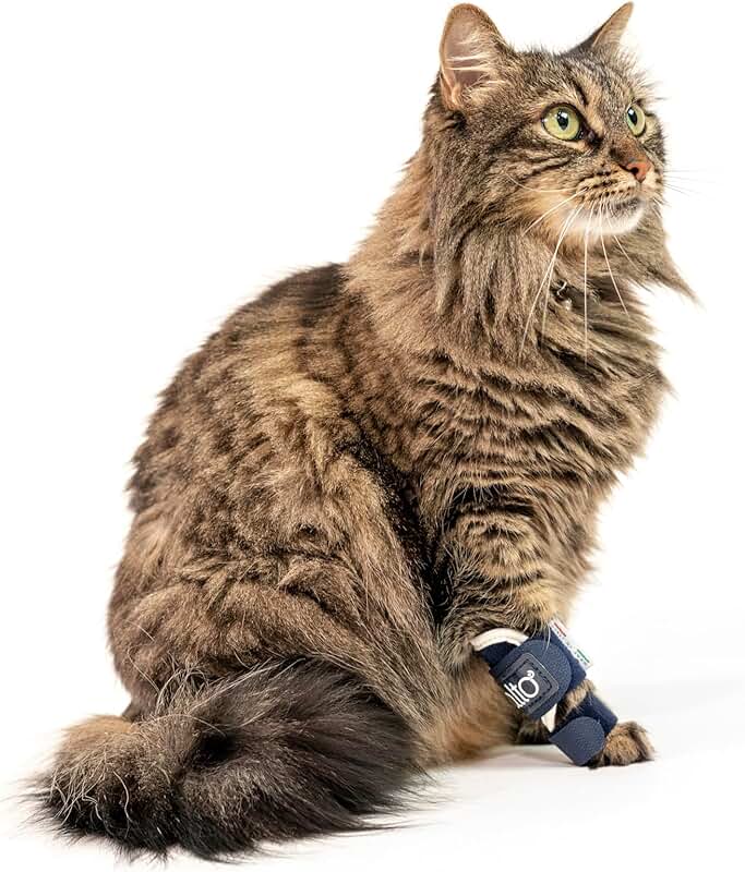 Feline Carpal/Tarsal Support Brace with Aluminum Splint