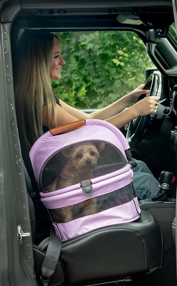 Pet Safety Carrier and Car Seat for Small Dogs and Cats