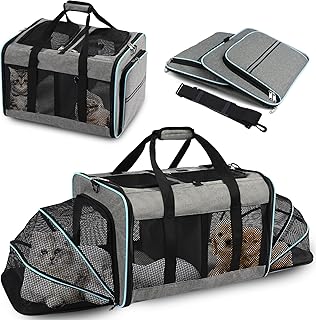 Portable 2-in-1 Pet Carrier for Cats and Dogs