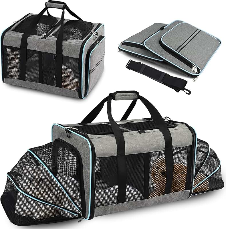 Portable 2-in-1 Pet Carrier for Cats and Dogs