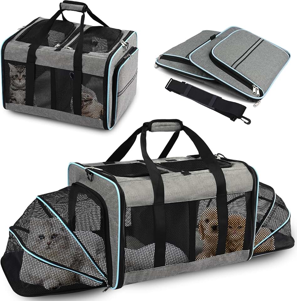 Portable 2-in-1 Pet Carrier for Cats and Dogs