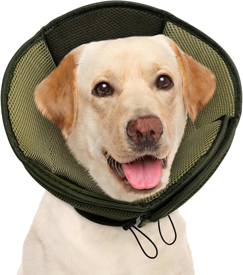Large Soft Dog Cone for Wound Healing
