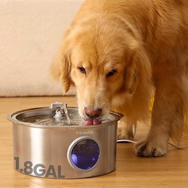 Quiet Stainless Steel Dog Water Fountain, 1.8 gallons