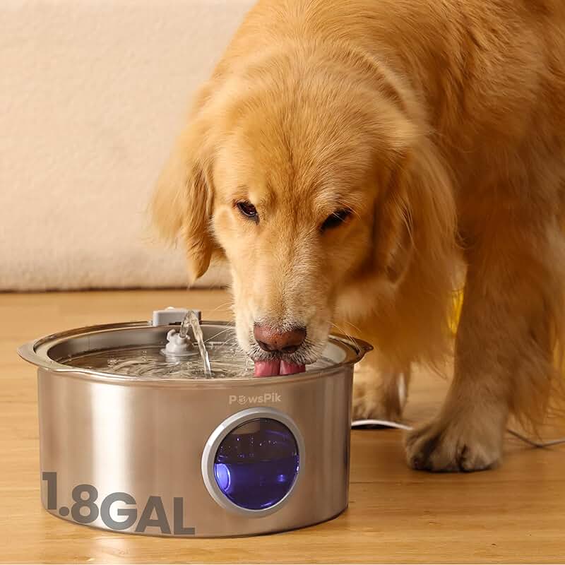 Quiet Stainless Steel Dog Water Fountain, 1.8 gallons