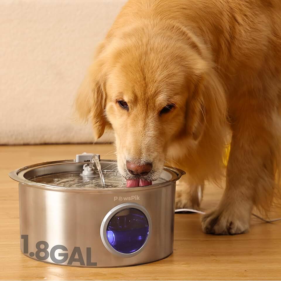 Quiet Stainless Steel Dog Water Fountain, 1.8 gallons