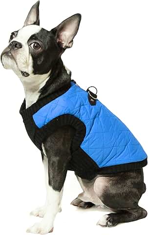 Blue Warm Dog Vest with Leash and Water Resistance