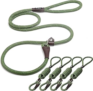 Durable Slip Lead Dog Leash Pack of 5