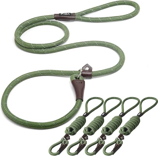 Durable Slip Lead Dog Leash Pack of 5