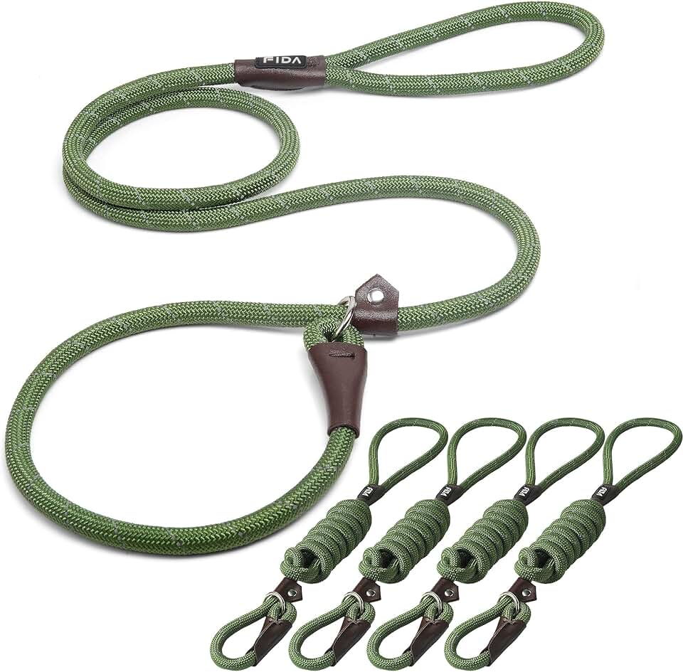 Durable Slip Lead Dog Leash Pack of 5