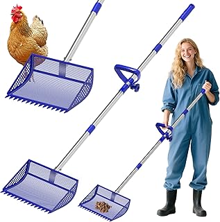 12-Inch Chicken Poop Scooper and Rake Tool