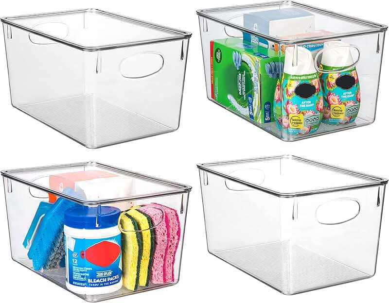 Set of 4 clear plastic storage bins with lids