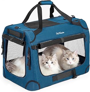 Large Collapsible Cat Carrier for Two Cats