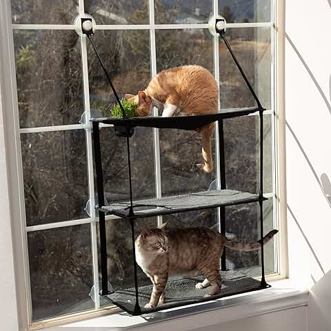 EZ Mount Window Cat Perch with Grass Station
