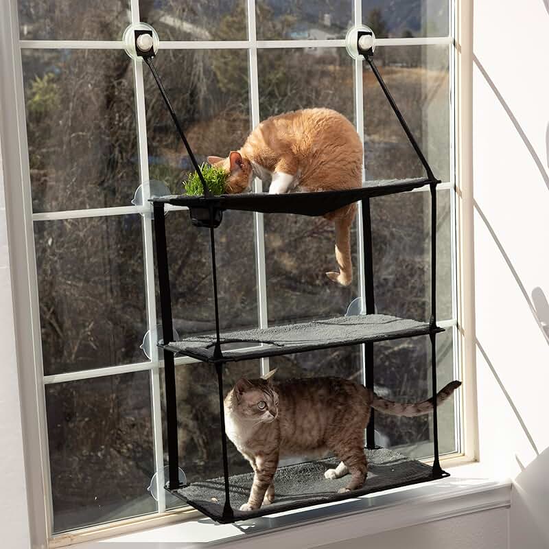 EZ Mount Window Cat Perch with Grass Station